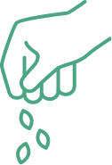 Seed Merchants plant insurance