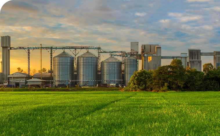 Agribusiness Insurance